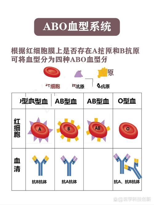 最强的系统百度百科？最强系统百度百科苏皓境界划分？-第1张图片-优品飞百科