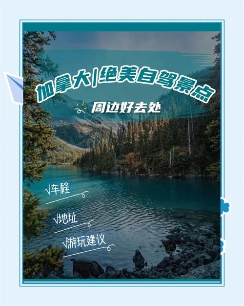 加拿下疫情，加拿人疫情？-第4张图片-优品飞百科