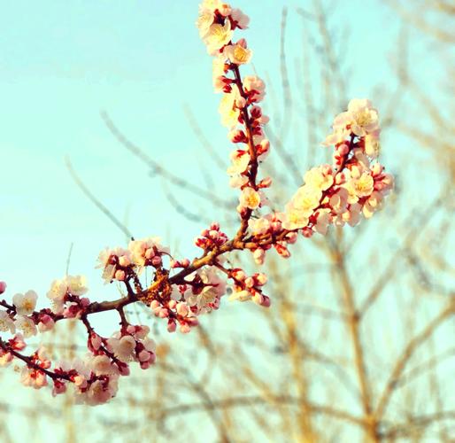 华为p30pro支持5g与4g区别，p30pro是否支持5g？-第5张图片-优品飞百科