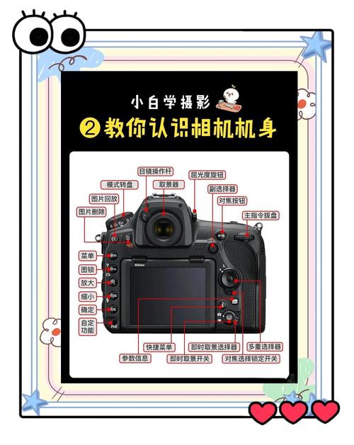 相机怎么使用教程，儿童相机怎么使用教程？-第5张图片-优品飞百科