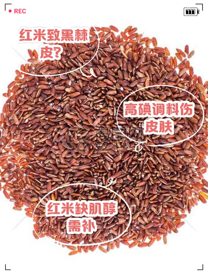 红米和小米有什么不同吗，红米和小米是一样吗