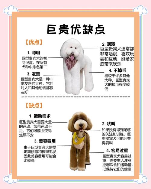 联想是美国的狗吗？联想是否美国的了？-第7张图片-优品飞百科