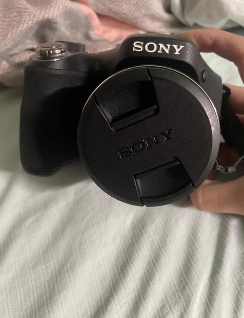 索尼hx300使用方法？索尼hx30使用说明书？-第2张图片-优品飞百科