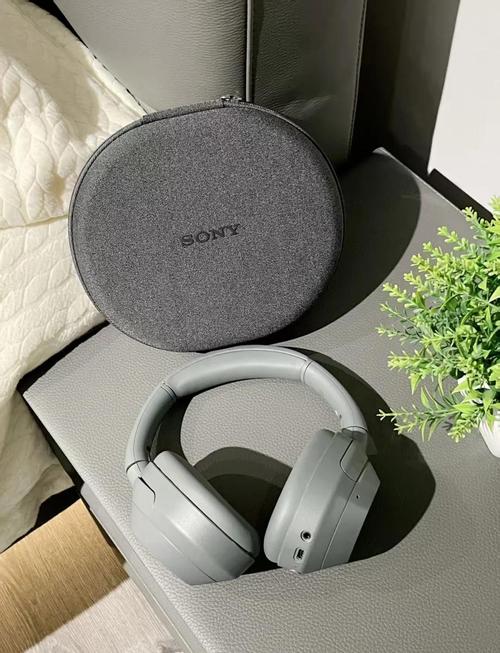 索尼重低音耳机推荐，索尼低音比较好的耳机-第2张图片-优品飞百科