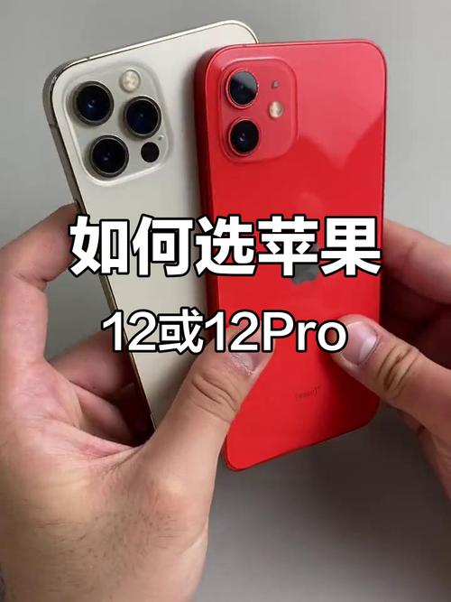 苹果12pro和苹果12哪个好,苹果12pro与苹果13哪个值得买-第5张图片-优品飞百科 苹果12pro和苹果12哪个好,苹果12pro与苹果13哪个值得买-第5张图片-优品飞百科