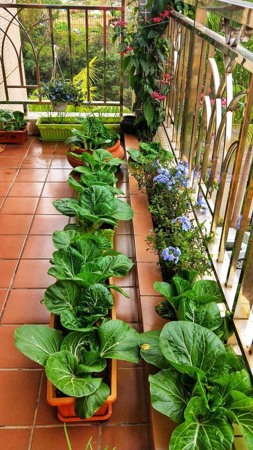 因为疫情我们改变，因为疫情让我们的生活变得有些不一样？-第1张图片-优品飞百科