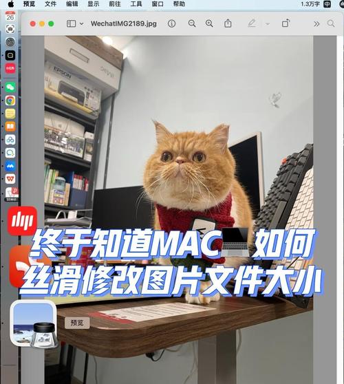 苹果的笔记本电脑双系统怎么调整硬盘空间，苹果电脑双硬盘双系统-第6张图片-优品飞百科