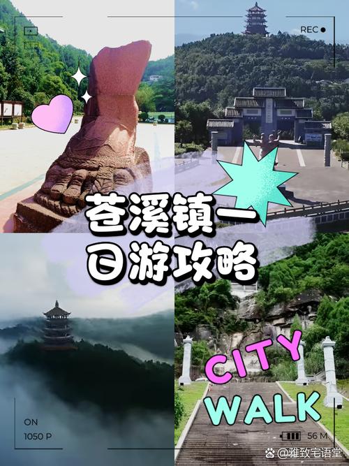 苍溪疫情管控，苍溪疫情防控最新公告？-第5张图片-优品飞百科