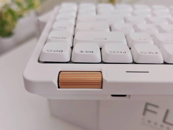 机械键盘青轴声音有多大，机械键盘青轴声音是怎么样的？-第5张图片-优品飞百科