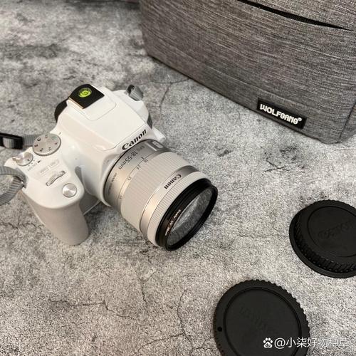 佳能80d全新多少钱，佳能80d单反相机费用？-第1张图片-优品飞百科