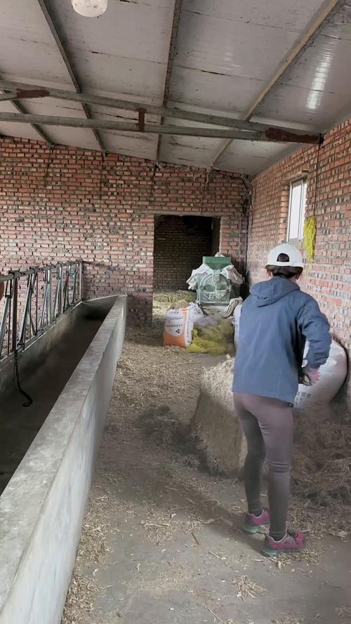 疫情春耕做法？疫情防控期间春耕备耕工作？-第4张图片-优品飞百科