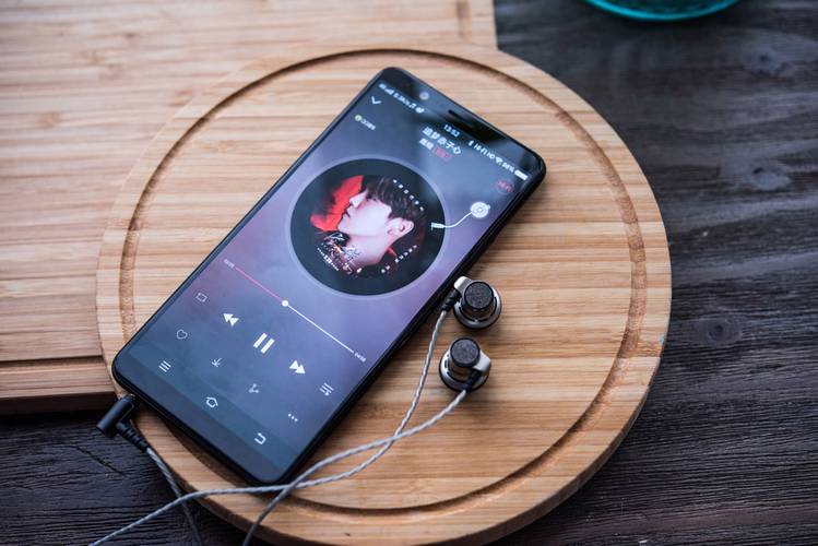 vivox20耳机是什么型号，vivox20的原装耳机型号？