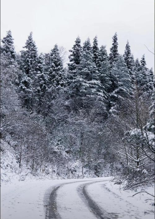 重庆涪陵天气预报？重庆涪陵天气预报7天一周查询？-第3张图片-优品飞百科