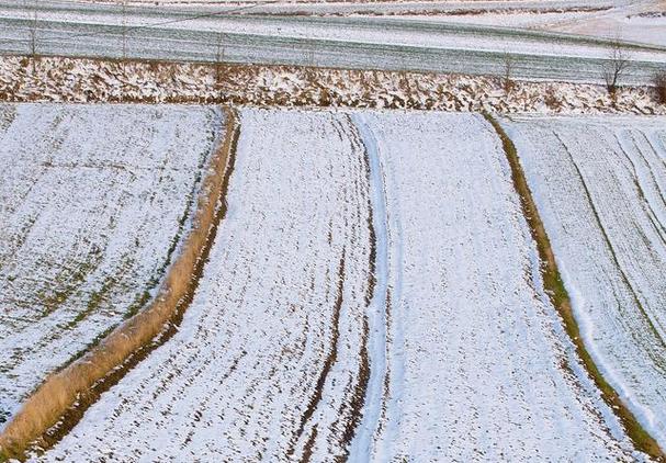 灵璧天气预报30天？灵璧天气预报30天准确？-第4张图片-优品飞百科