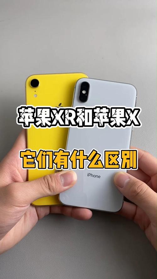 苹果xr和苹果x哪个屏幕大，苹果xr和x屏幕一样大吗？-第3张图片-优品飞百科