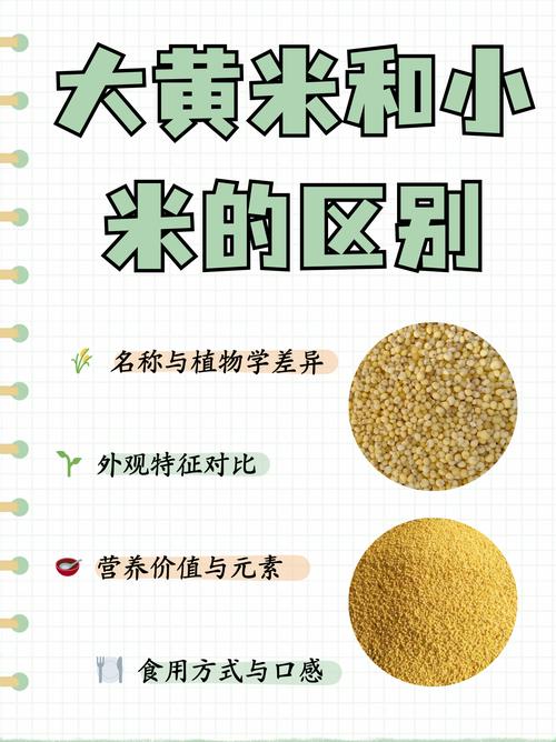 云米和小米产品有什么区别，云米和小米有什么区别?-第3张图片-优品飞百科