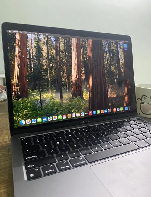 苹果笔记本重装系统要多久，苹果笔记本重装系统有什么影响-第5张图片-优品飞百科