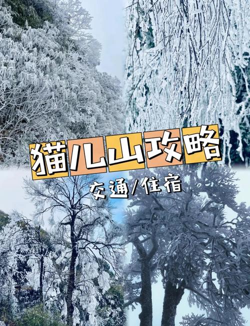 桂林天气预报30天准确，桂林7天天气预报详情-第1张图片-优品飞百科