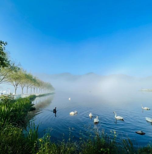 神农架天气预报15天，神农架天气预报15天查询-第3张图片-优品飞百科