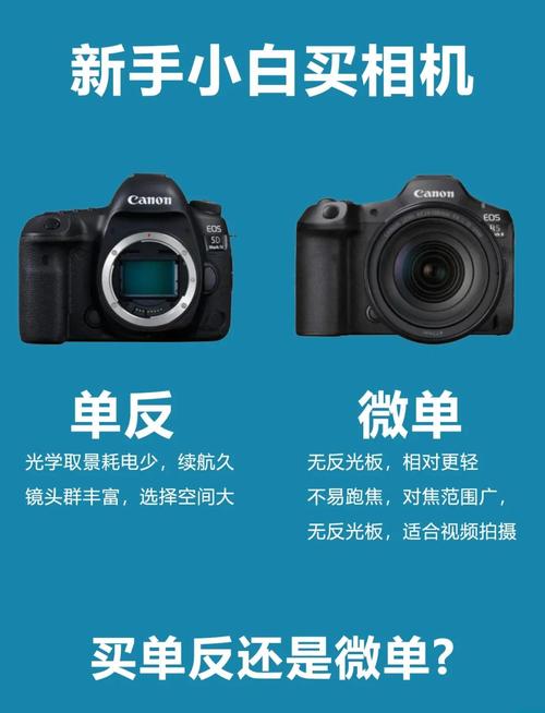 专业摄影微单和单反哪个好，单反和微单那个照出来的效果好？-第2张图片-优品飞百科