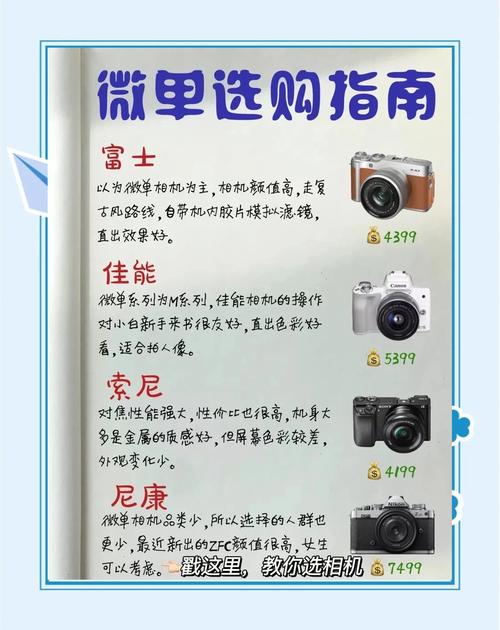 专业摄影微单和单反哪个好，单反和微单那个照出来的效果好？-第3张图片-优品飞百科