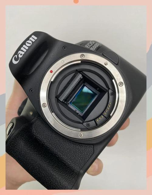 入门数码相机哪款好，入门级数码相机买什么好？-第2张图片-优品飞百科