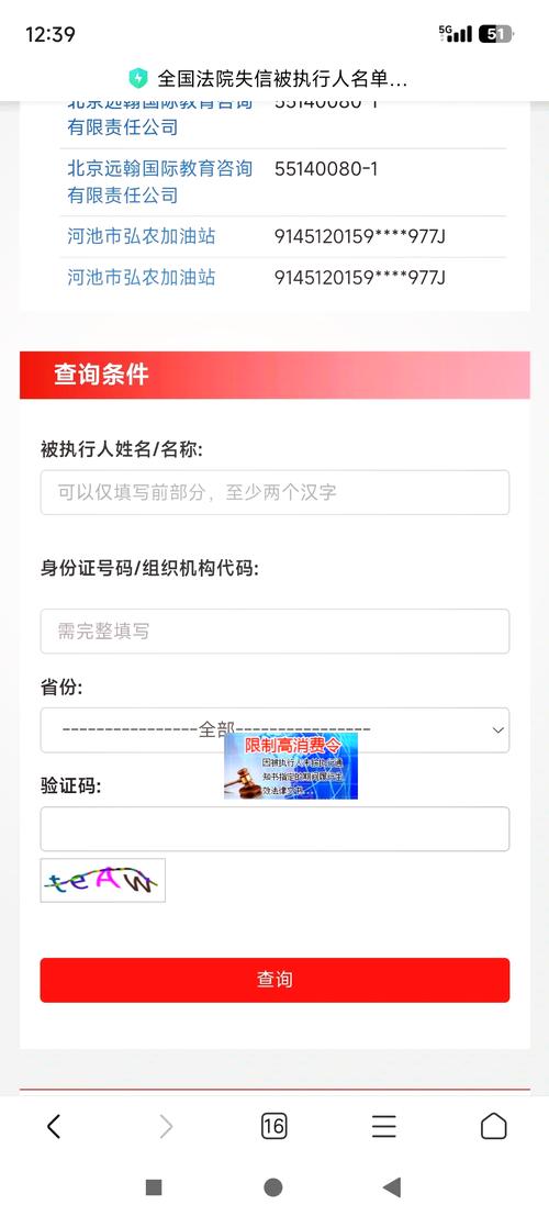 失信被执行人名单查询系统？失信被执行人员名单的查询？-第2张图片-优品飞百科