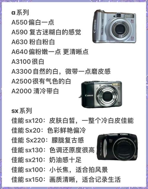 佳能ccd哪个系列拍人像比较好？性价比高的佳能ccd相机？-第5张图片-优品飞百科