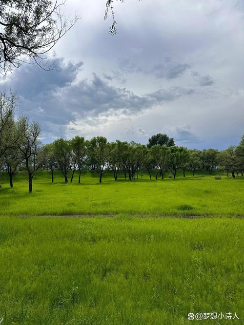 克东一周天气预报？克东天气预报实时？-第2张图片-优品飞百科