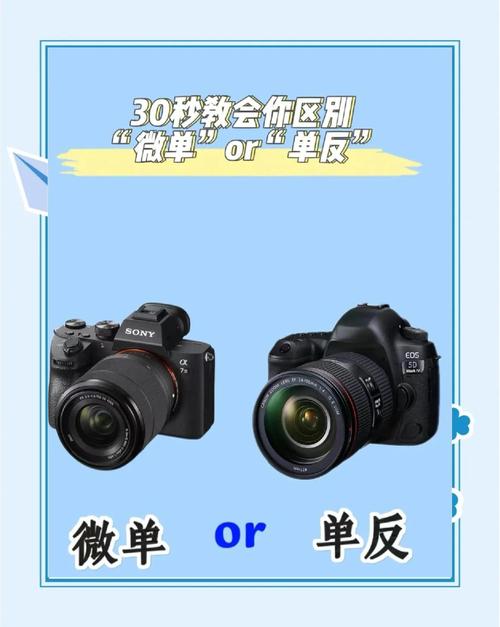 卡片数码相机和微单的区别，卡片数码相机和微单的区别是什么-第4张图片-优品飞百科