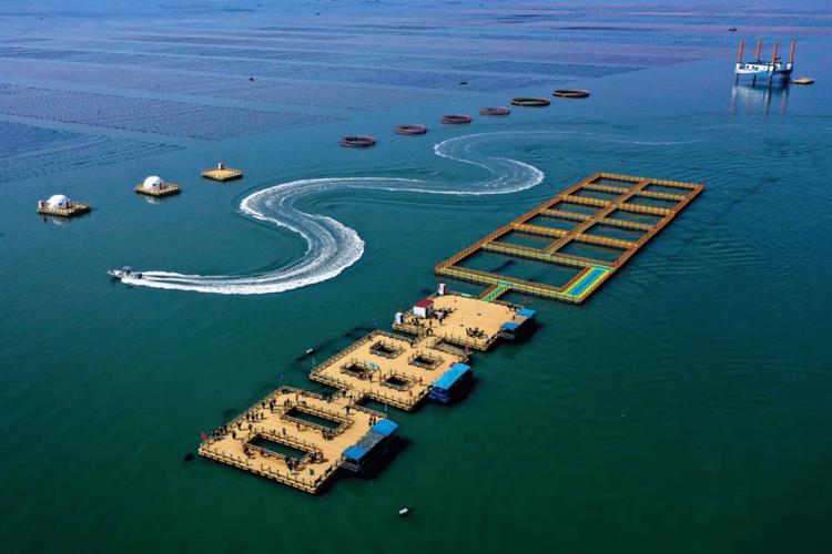 碣石天气预报，碣石天气预报实时？-第1张图片-优品飞百科