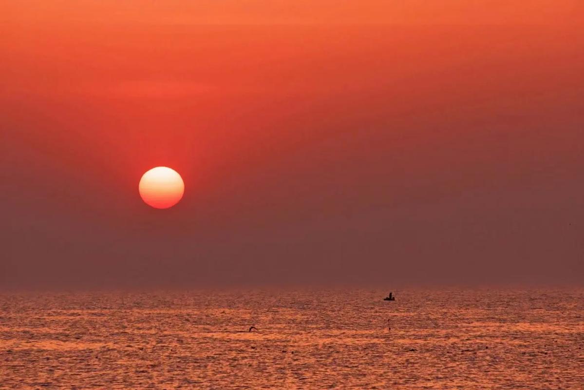 碣石天气预报，碣石天气预报实时？-第5张图片-优品飞百科