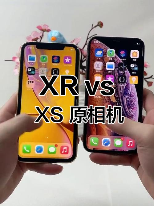 苹果xr和xs区别评测？苹果xr和xs区别评测图？-第5张图片-优品飞百科