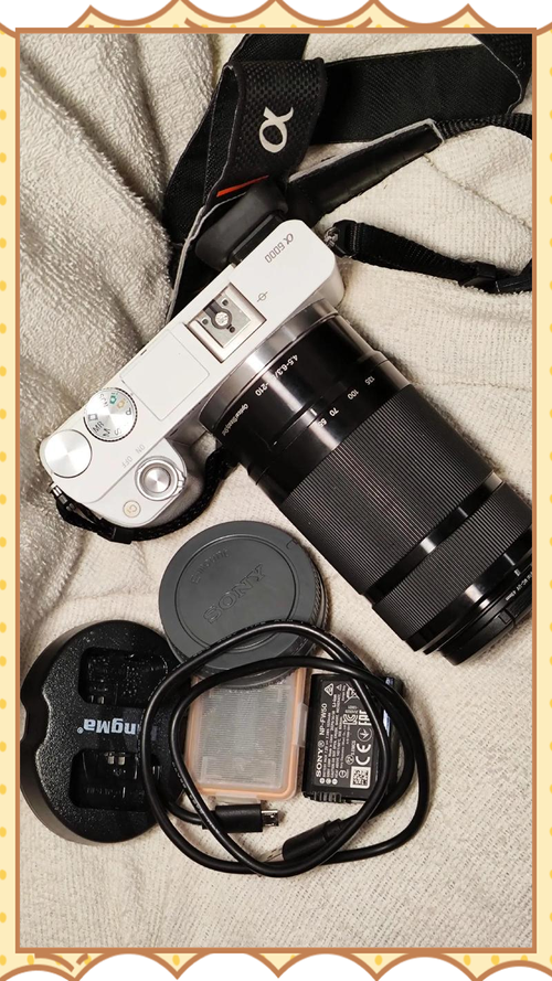 索尼a6000配什么镜头一镜走天下？索尼a6000配什么镜头好旅游用可拍人像风景？-第2张图片-优品飞百科