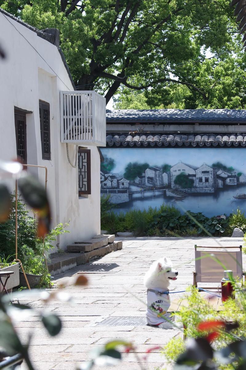 佳能700d拍照不清晰？佳能700d拍照模糊？-第1张图片-优品飞百科