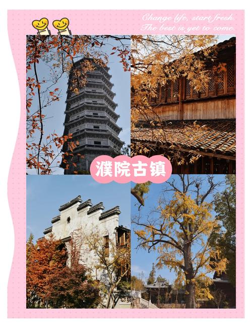 濮院天气预报，桐乡濮院天气预报-第4张图片-优品飞百科