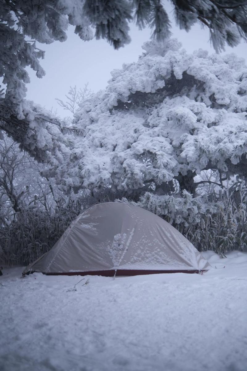 五通天气预报，五通天气预报7天-第1张图片-优品飞百科