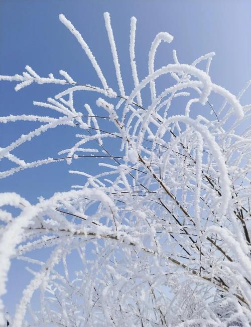 齐齐哈尔今天天气预报，齐齐哈尔今天天气预报风力几级？-第4张图片-优品飞百科