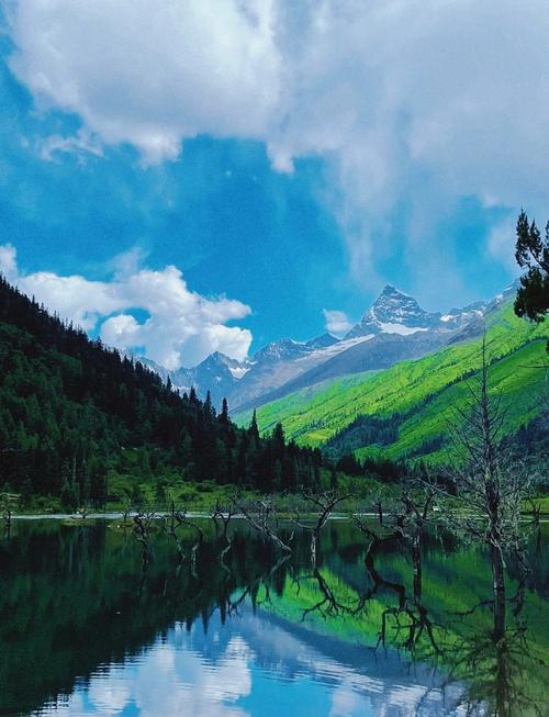 映秀天气预报？映秀天气预报7天一周气温是多少？-第3张图片-优品飞百科