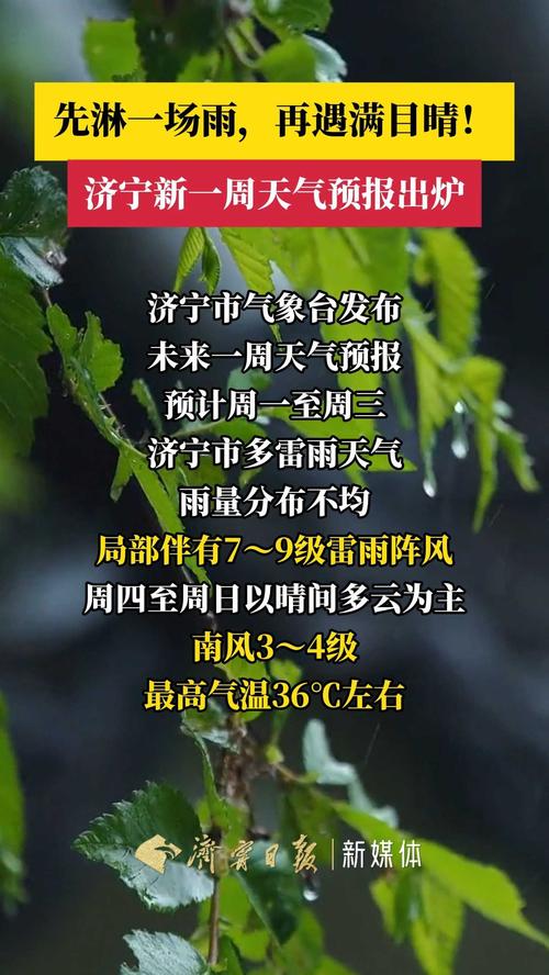 天气预报嘉祥，天气预报嘉祥黄垓镇？-第4张图片-优品飞百科