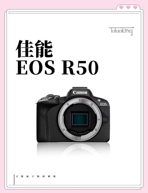 佳能最早的微单，佳能最早的单反相机-第5张图片-优品飞百科