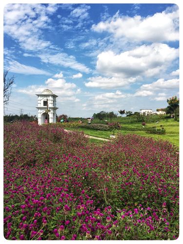 双流区天气预报，双流区天气预报30天？