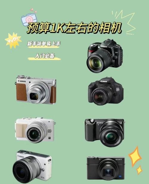 佳能a810电池，佳能a80用什么电池？-第4张图片-优品飞百科