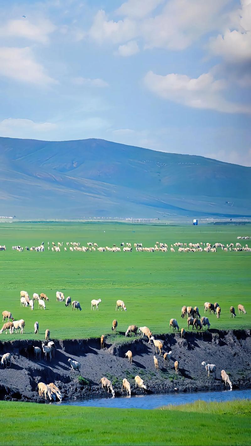 阿鲁科尔沁天气预报,内蒙古海拉尔天气预报一周-第4张图片-优品飞百科 阿鲁科尔沁天气预报,内蒙古海拉尔天气预报一周-第4张图片-优品飞百科