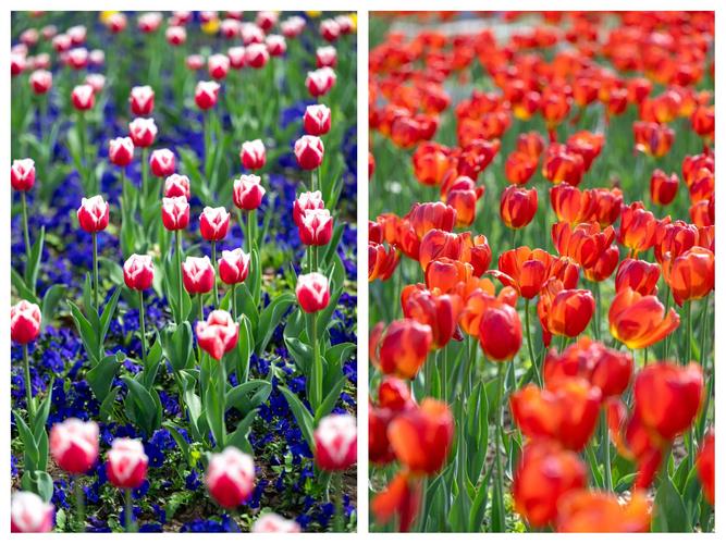 平乐天气预报15天，平乐天气预报15天天气查询-第4张图片-优品飞百科