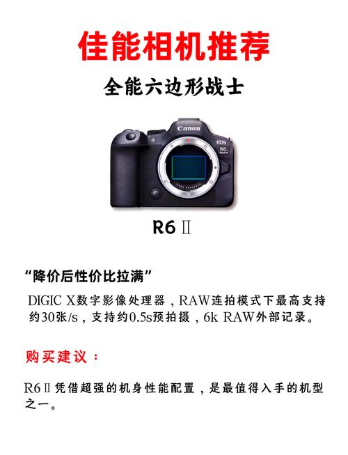 佳能1d和5d的区别，佳能1dx和5dsr哪个好？-第1张图片-优品飞百科