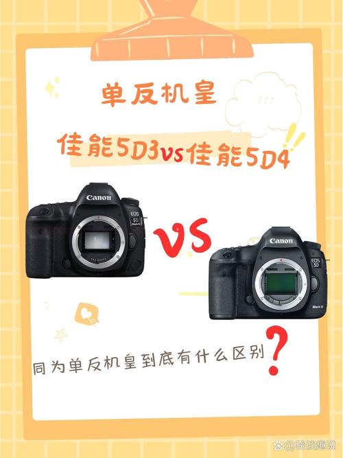 佳能1d和5d的区别，佳能1dx和5dsr哪个好？-第5张图片-优品飞百科