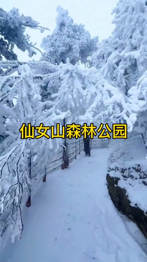 今日重庆天气预报，今日重庆天气预报查询24小时？