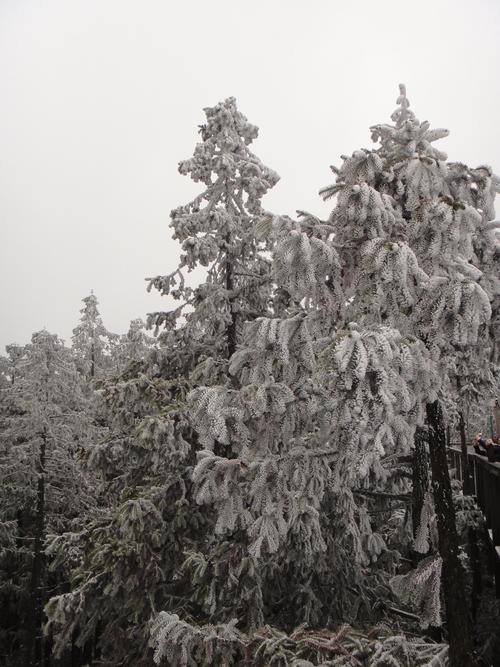 城口县天气预报，城口县天气预报15天查询？