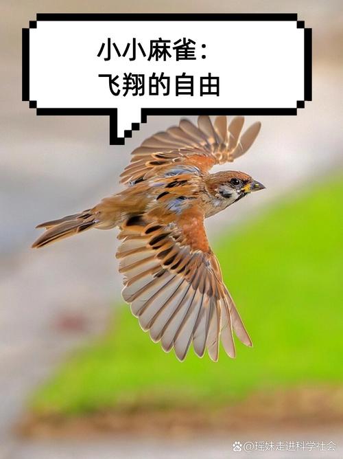 大雁天气预报，大雁天气预报天气-第4张图片-优品飞百科